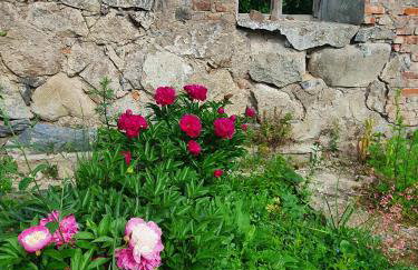 Gandelinka Park Kędrzyno - Foto 3