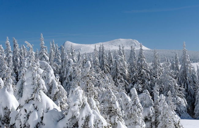VVF Haute-Loire Les Estables - Foto 30