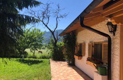 Ferienhaus Veronika mit 2000qm Garten und Bergblick - Photo 34