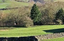 Robins Nest - Foto 3