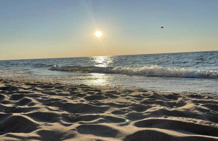 Harbert Hideaway - Foto 37