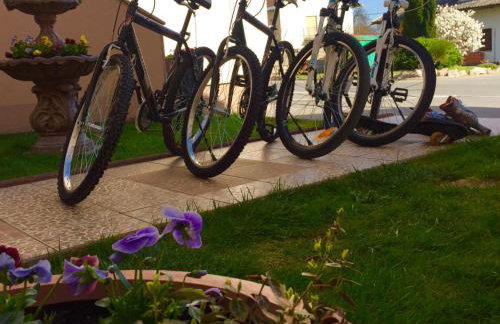 Holiday house "Mimoza" 2 massage pools - Foto 31