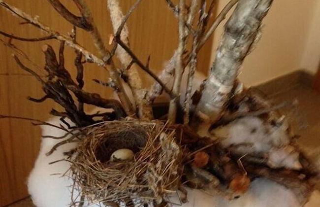 Agriturismo Al Vecchio Portico - Photo 45