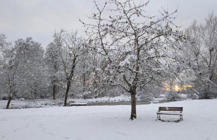 Les Jardins des 3 Provinces- Gîte - Foto 54