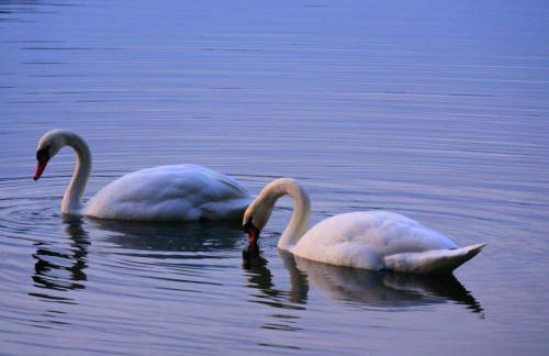 Am Kiefernweg 17 - Foto 17
