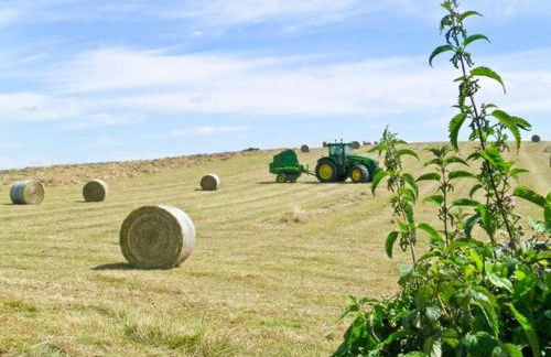 Kitty's Loft - Foto 7