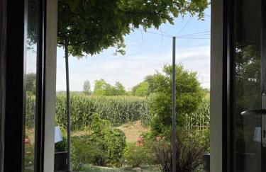 B&B Il Melograno - Foto 15