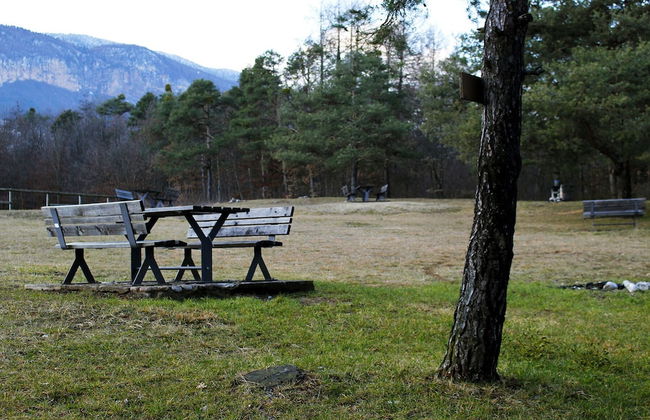 Casa in tipico Maso, tra natura e tradizione - Foto 31