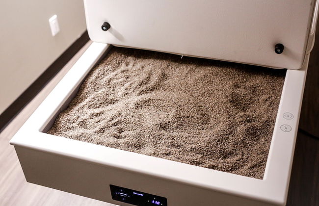 Hotel William Gray - Foto 46