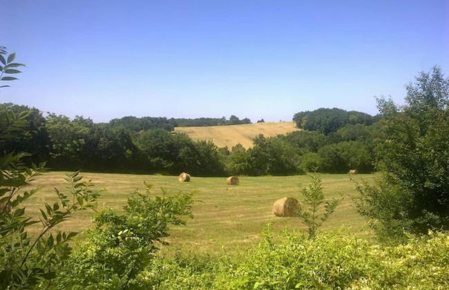 Pleasant Holiday Home With Sauna - Foto 40