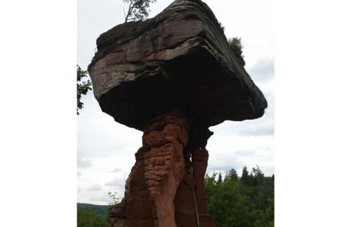 Pension Sonnenberg Comfortable holiday residence - Foto 44