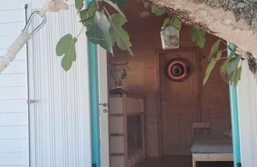 Tribo da Praia - Foto 14