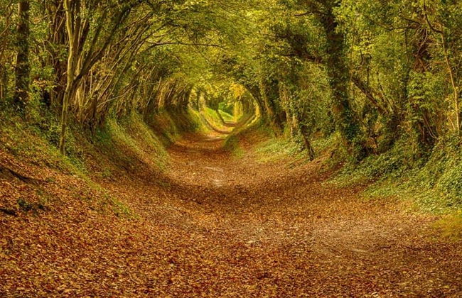 Charming Modern City Escape Garden Parking - Foto 42