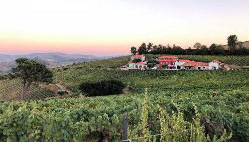 Quinta dos Espinheiros - Foto 5