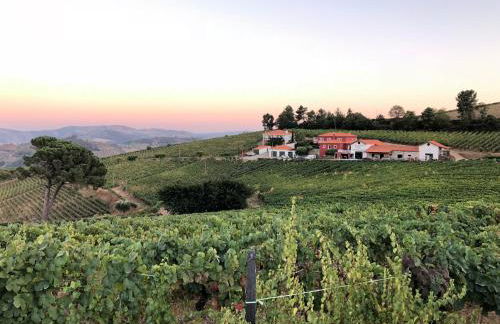 Quinta dos Espinheiros - Photo 5