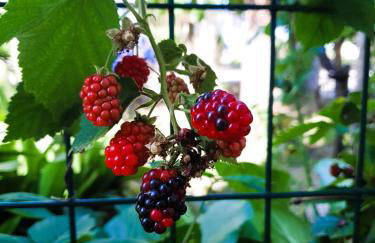 Casa Kendra - Foto 22