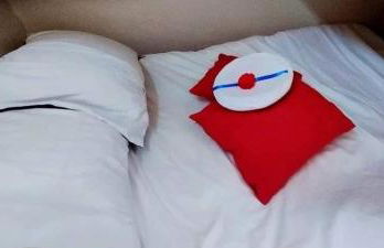 Bateau Le Cezar - Foto 9