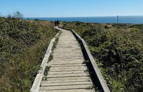 Ocean and Sunset Views - Cliff Side Cottage - Foto 23