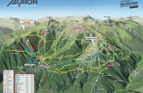 Studio Les 3 Lys Auron - Foto 14