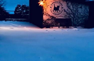 Apartment Cats Forest - Foto 42