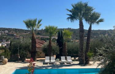 The Olive Grove Villas with large swimming pool - Foto 7