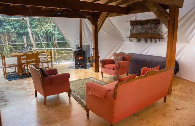 Cabañas Ensenada Bosque Nativo - Foto 5