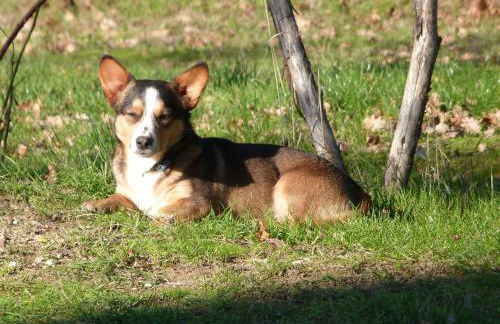 Agriturismo Apparita - Foto 52