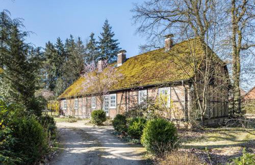 Heidehygge - Ferienhaus mit Wald - Foto 9