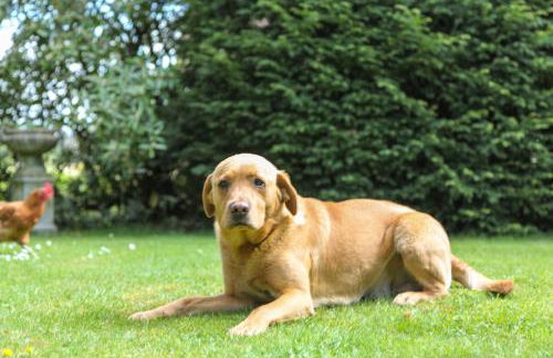 Lower Buckton Country House - Sleeps 12 - Foto 59