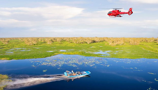 The True Territory Tour: Helicopter Flight, Airboat Ride, Jumping Crocodile Cruise and Lunch - Photo 4