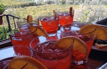 Poggio agli Ulivi vicolo di Colle Reti 22 Frascati - Foto 16