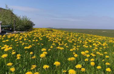 HaRe Ferienwohnungen - Foto 46