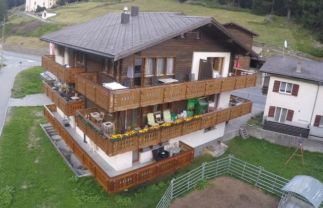 Silberdistel - Foto 5