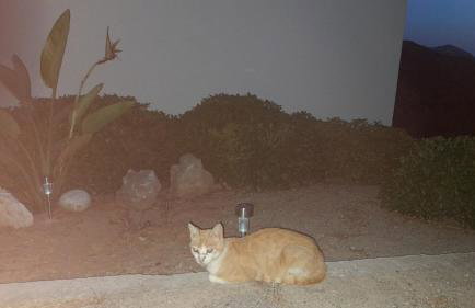 Studio Vasileios-The Best Luxury Guest Room in Spili - Foto 27