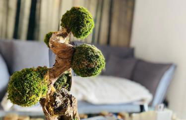 Un havre de quiétude au cœur des Montagnes - Foto 12