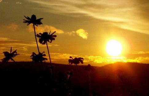 Ferienwohnung Auf Schäfers Spuren - Foto 21