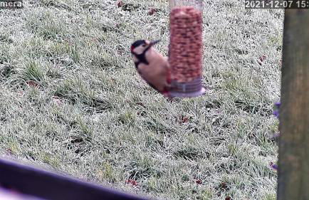 Snug & Secluded Lakeside Shepherds Hut 'Carp' - Foto 36
