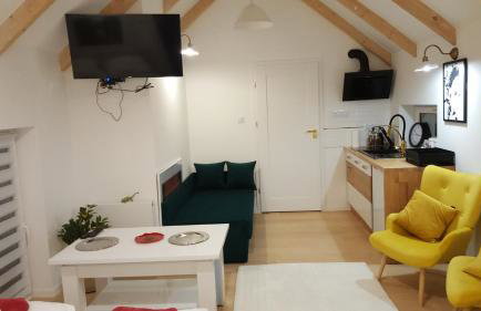 APARTAMENTY ZIELONY KAMELEON - Foto 75