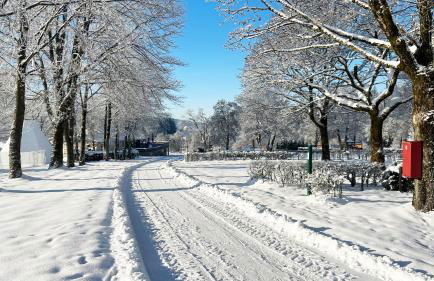 Modernes Familien Tiny House - Natur & Sternenhimmel inklusive! - Foto 41