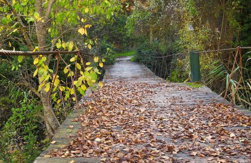 Casa Rural El Abuelo Luis - Foto 31