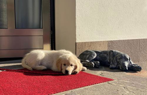 Residence Margreth - Foto 70