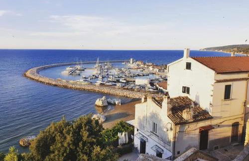 Joivy Dimore Rodiane - U Vucc'l - Foto 18