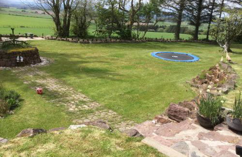 Green Yurt with Hot Tub - Sleeps 3 Parking & Pets - Photo 28