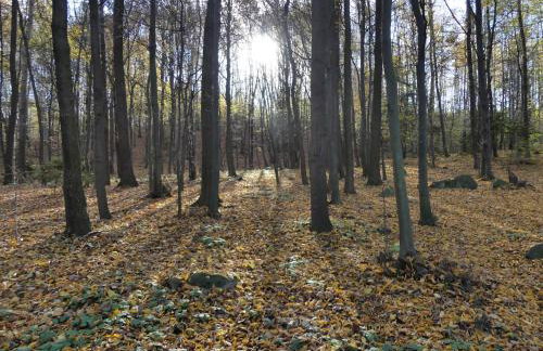 Jeżynowy Domek - Sulistrowice - Photo 7