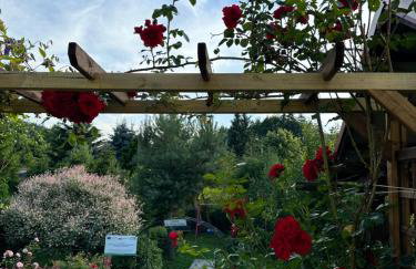 Mr. Sowa Sokolec - Foto 30