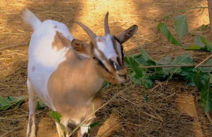 Zio Stefy - Photo 34