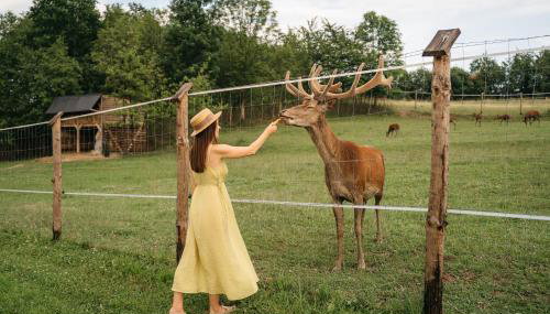 Apartamenty Na Potokach - Foto 3, Garden