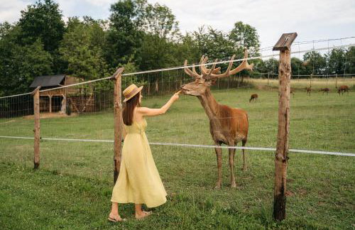 Apartamenty Na Potokach - Foto 3