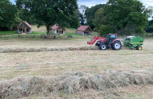 Nettlebed Farm Holiday Lets Barn3 - Photo 11
