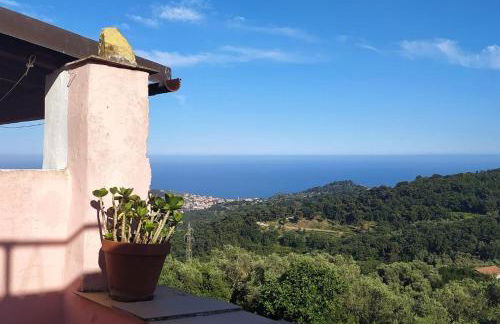 La casa rosa - Foto 1